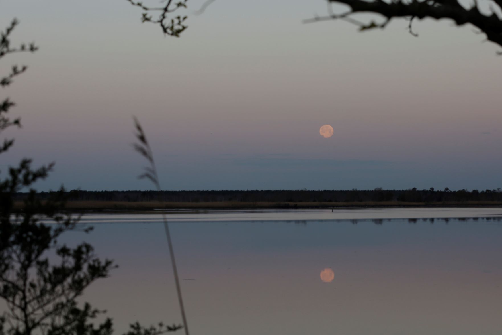 April Pink moon